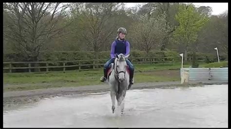 Dukes Livery Stables & XC Hire
